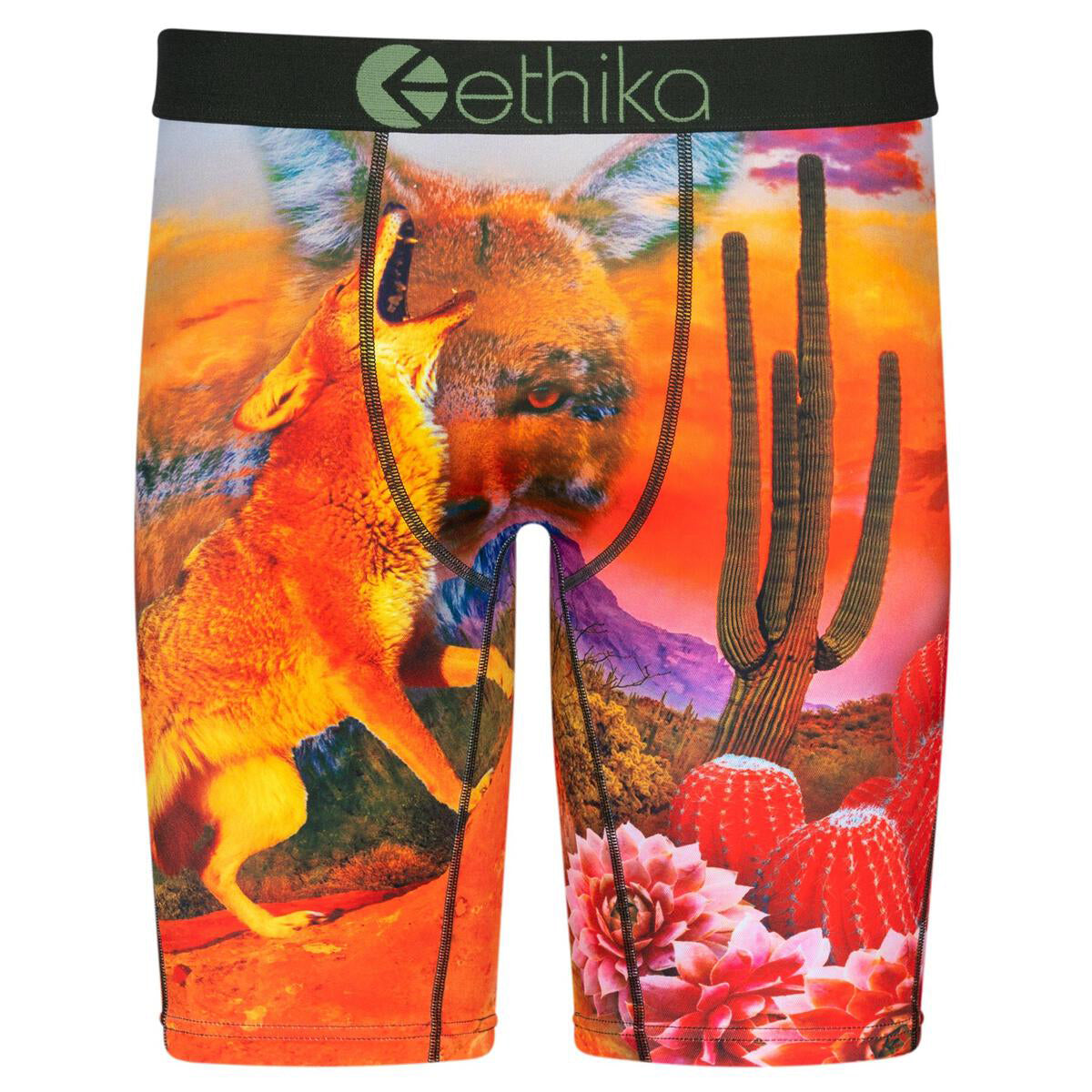 Ethika Desert Dog Staple Boxer Brief in multi – view 1 of 2