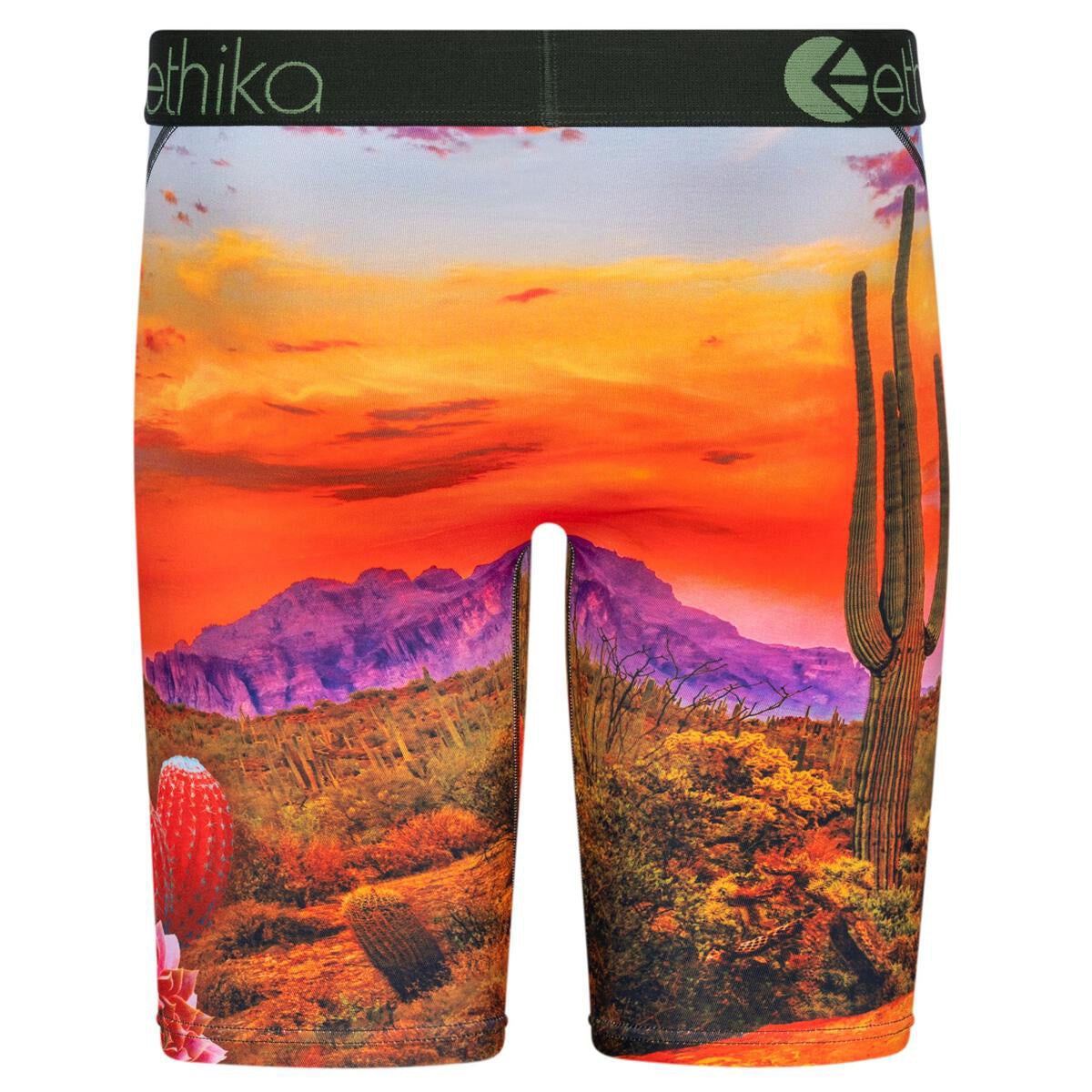 Ethika Desert Dog Staple Boxer Brief in multi – view 2 of 2