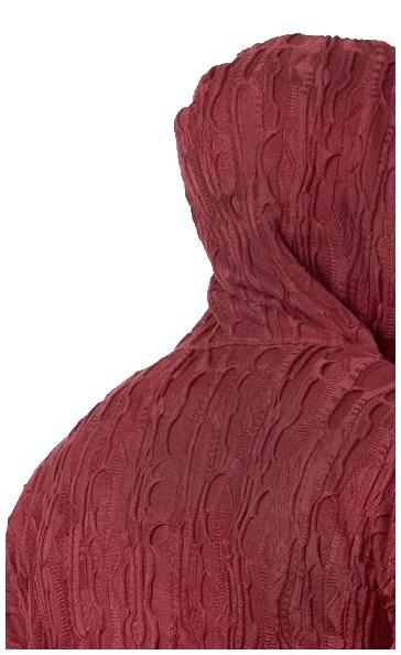 Coogi Solid Burgundy Hoody