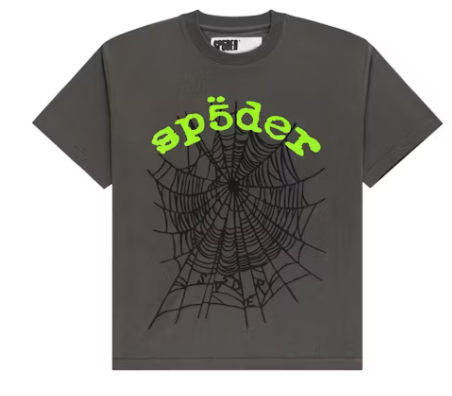 Sp5der OG Web V2 Tee in grey – view 1 of 1