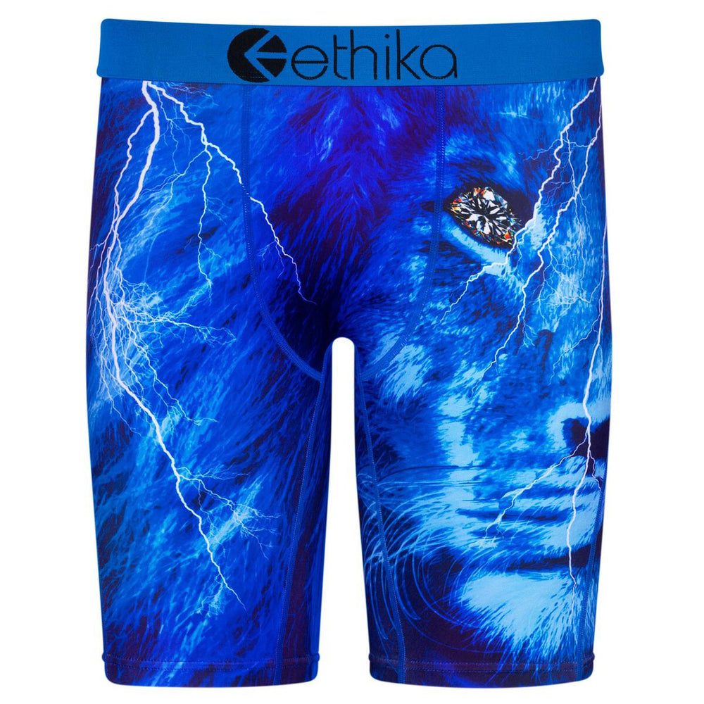 Ethika Tru Lion boxer brief in blue – view 1 of 1