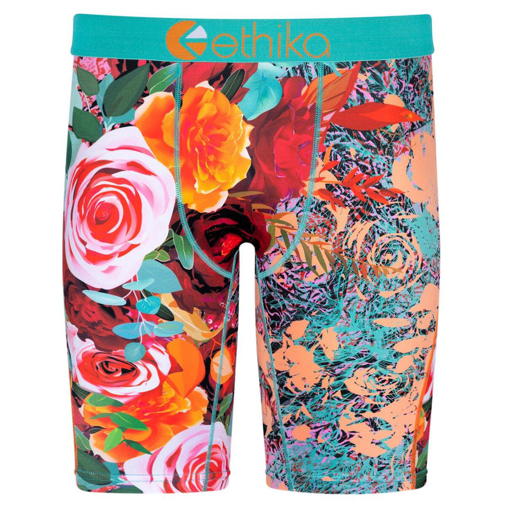 Ethika The Botanist Boxer Brief in multi – view 1 of 2