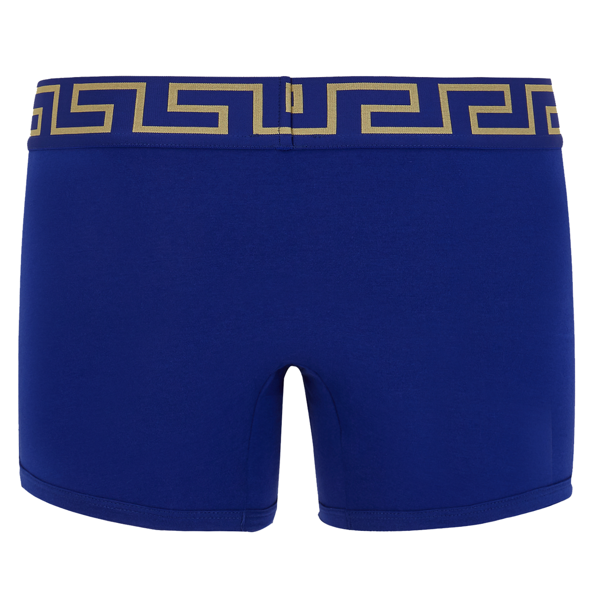 VERSACE UNDERWEAR LONG TRUNK W/ GRECA BORDER | BLUE