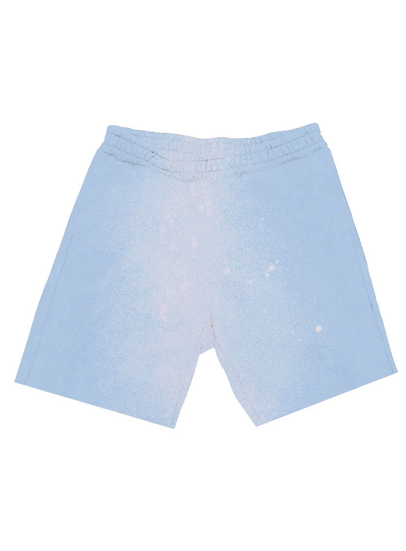 Purple Brand French Terry Short in Placid Blue – view 2 of 3